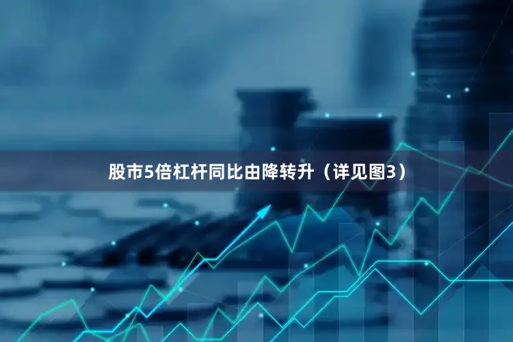 股市5倍杠杆同比由降转升（详见图3）