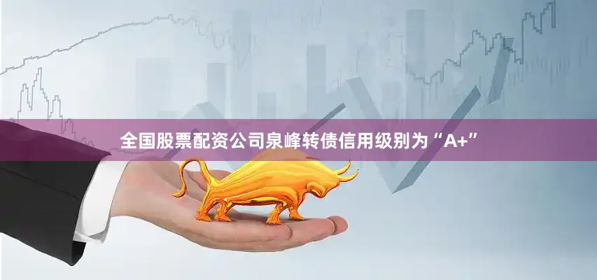 全国股票配资公司泉峰转债信用级别为“A+”