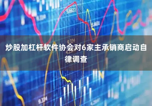 炒股加杠杆软件协会对6家主承销商启动自律调查