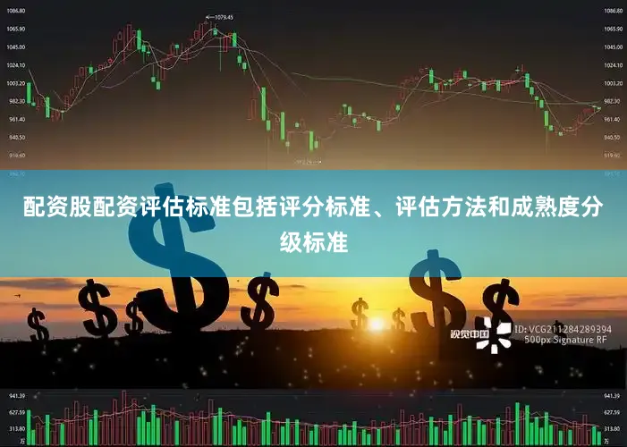 配资股配资评估标准包括评分标准、评估方法和成熟度分级标准