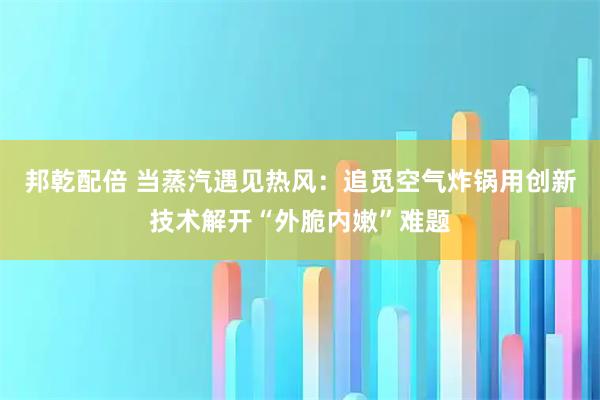 邦乾配倍 当蒸汽遇见热风：追觅空气炸锅用创新技术解开“外脆内嫩”难题