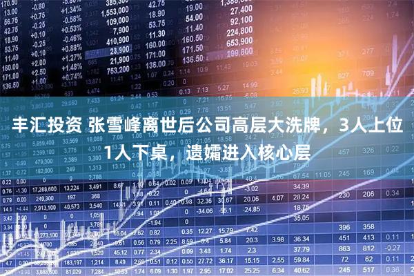 丰汇投资 张雪峰离世后公司高层大洗牌，3人上位1人下桌，遗孀进入核心层